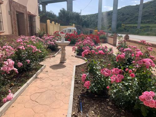 Apartamento Habitaciones Rurales Venta Pedro