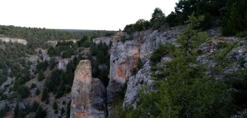 El Nido Del Mirlo