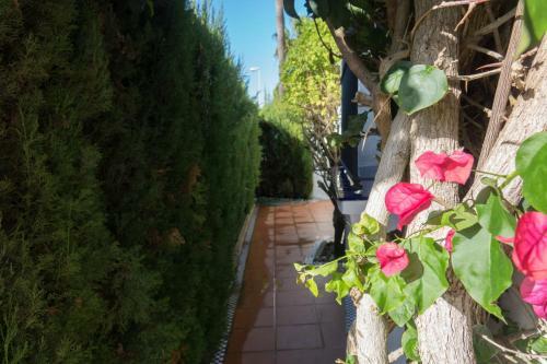 Apartamento Alextia La Barrosa - Con Wifi