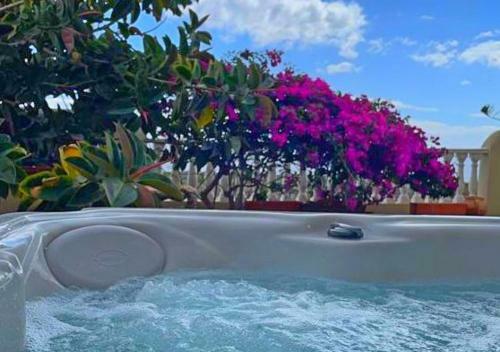 Luxuary Front Line 2-bed Villa In El Medano