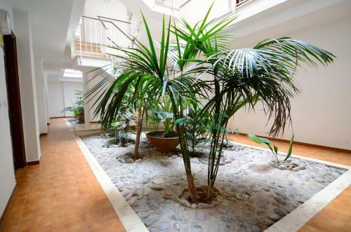 Apartamento Jardins Del Mar 36