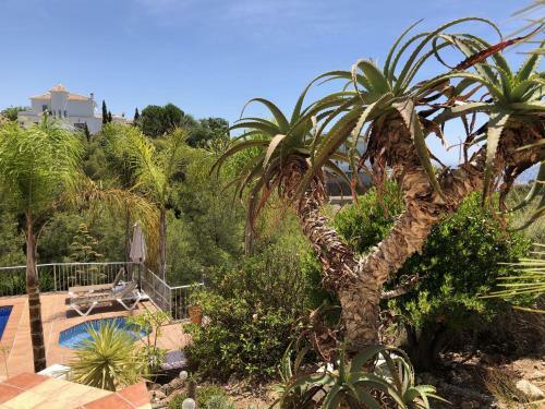 Castillo de Los Angeles, Luxury Villa With Pool And Jacuzzi