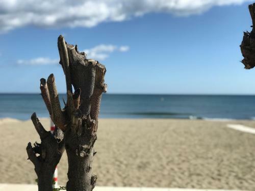 Apartamento Paseo Mar�timo Los Boliches