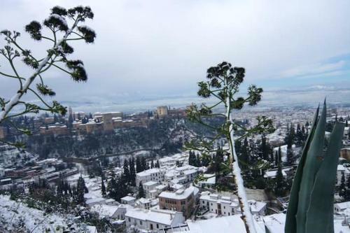 Apartment With 3 Bedrooms In Granada With Wifi