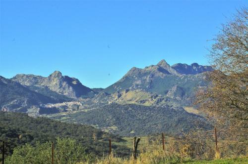 House With 3 Bedrooms In Grazalema