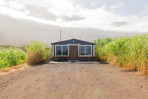 Beautiful Coastal House On A Tranquil Organic Farm