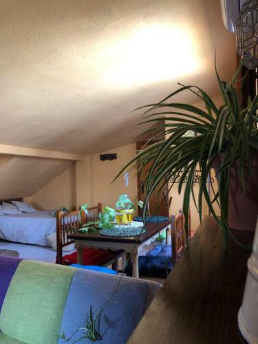 Apartamento Ta Catalina Accommodation