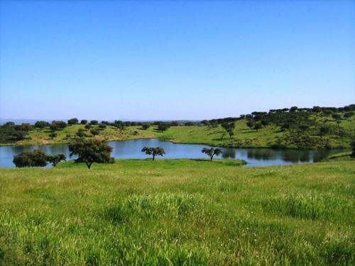 Naveterra-hotel Rural
