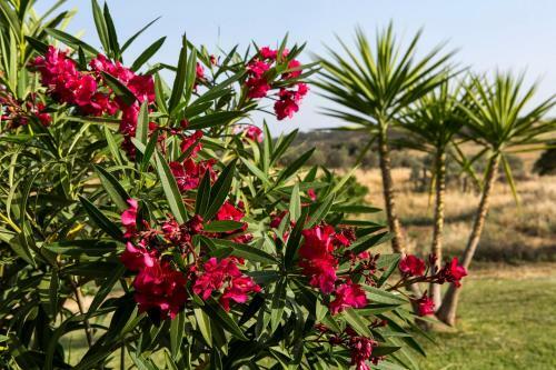 Naveterra-hotel Rural