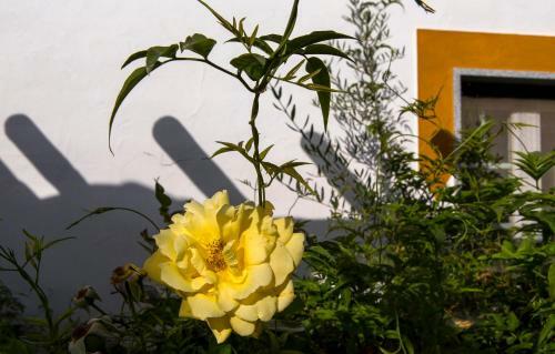 Naveterra-hotel Rural