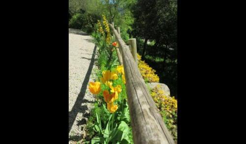 Les Planes D'hostoles Villa Sleeps 19 With Pool