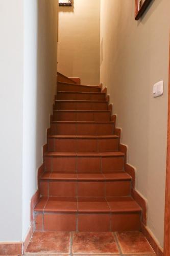 Urbanizaci�n San Roque 15