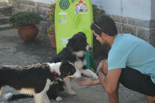 Bed & Breakfast Casalinho De Santo Ant�nio