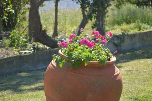 Bed & Breakfast Casalinho De Santo Ant�nio