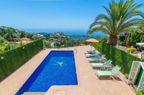 Club Villamar - Pitusa