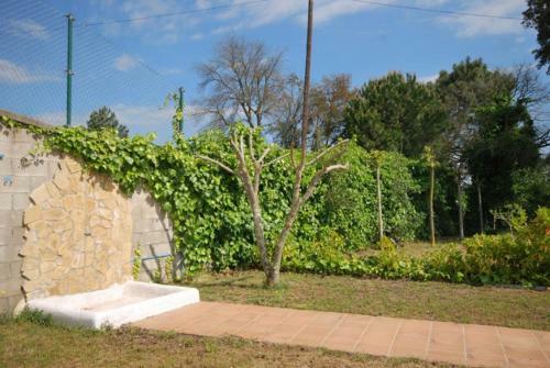 Club Villamar - Fleur
