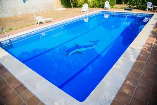 Club Villamar - Fleur