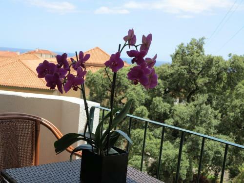 Apartamento Funchal Charming Old Town Flat