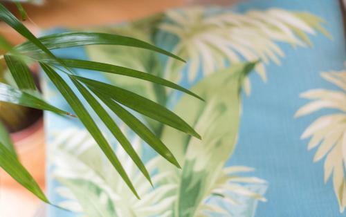 Apartamentos Santa Maria By Heart Of Funchal