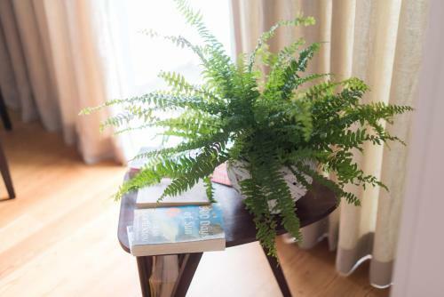 Apartamentos Santa Maria By Heart Of Funchal