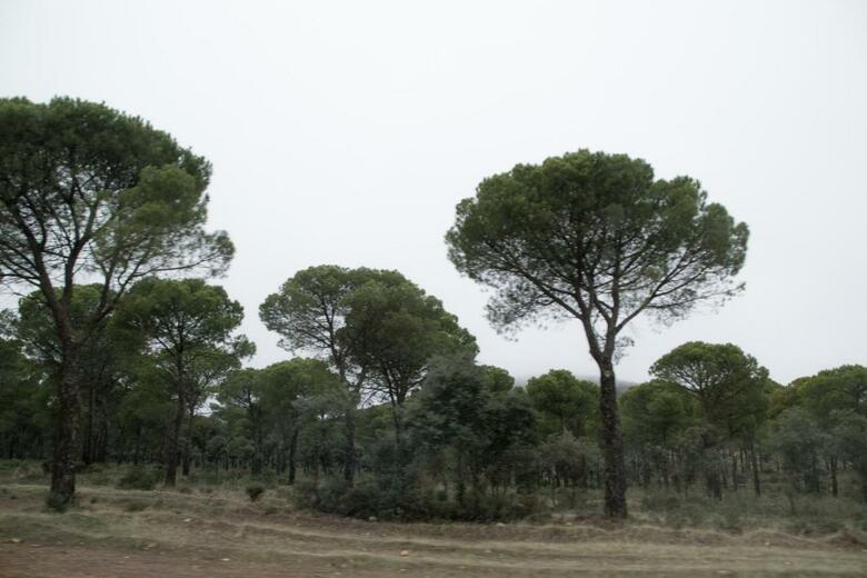 Agroturismo Posada Del Herrero