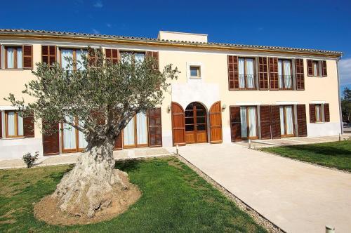 Hort De Conies Roman� 067