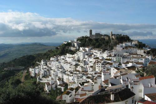 Apartamento Duquesa 432