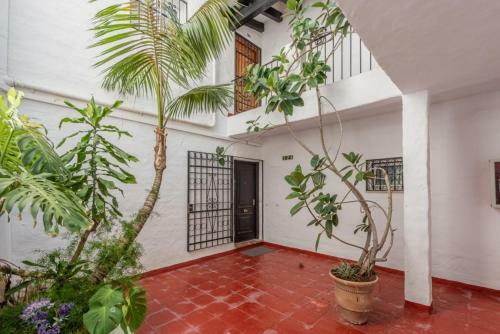 Apartamento Puerto Banus Marbella Spain Penthouse Duplex 224