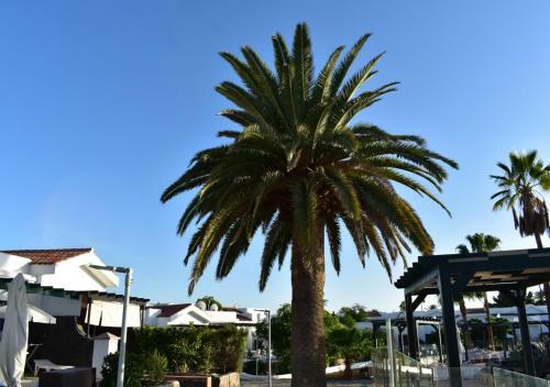 Apartamento Maspalomas Lago Industrial Style