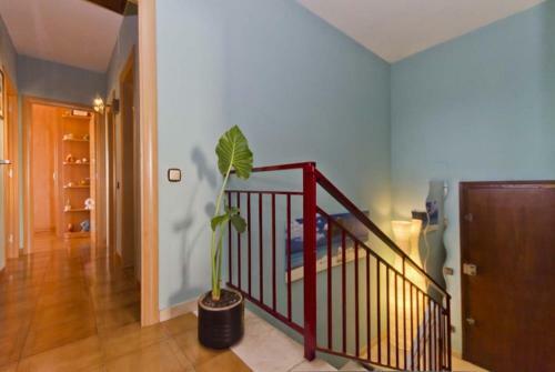 Club Villamar - Robinhood