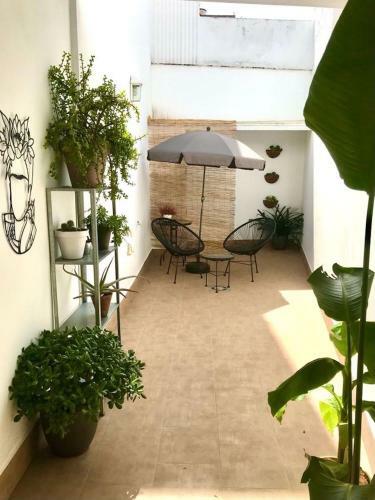 Apartamentos �lite Frida Kahlo