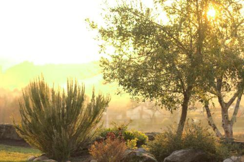 Agroturismo Vinosobroso Casa Rural