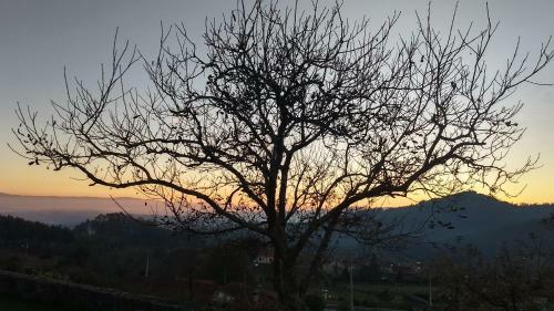 Agroturismo Vinosobroso Casa Rural