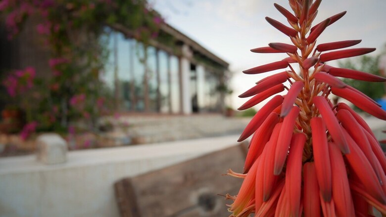 Agroturismo Finca La Constancia