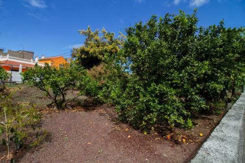 Casa Marjoes - Terrace, Bbq And Parking