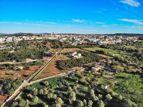 Els Tarongers, Muro 081