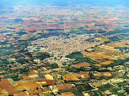 Els Tarongers, Muro 081