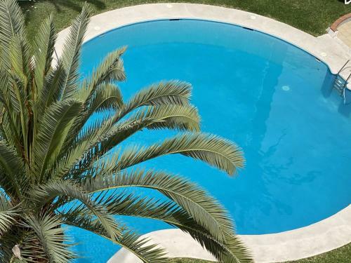 Apartamento Penthouse Seaview Centro Casasol