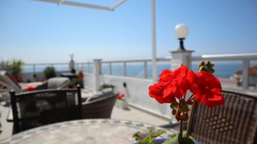 Apartamento Penthouse Seaview Centro Casasol