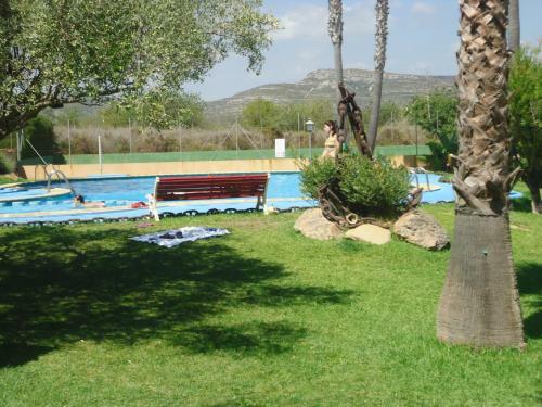 Mediterraneo 2005 Family Complex Lek