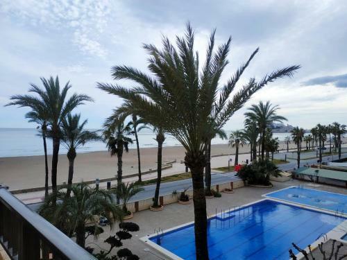 Apartamento Albatros I Orange Costa