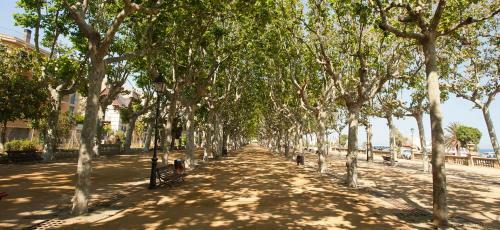 Apartamento Costa Brava Pineda