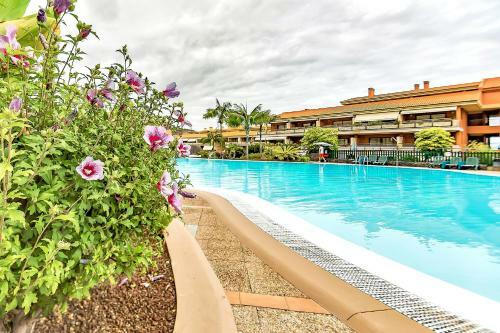Apartamento Piscinas Del Teide