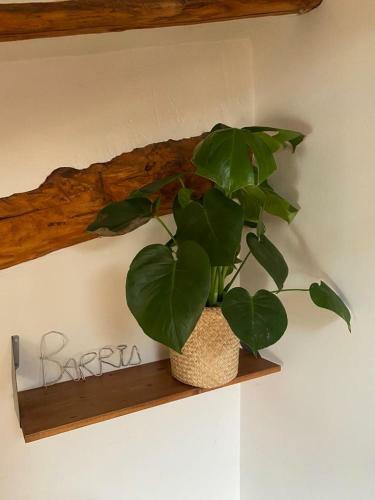 Hotel Casa Barr�a