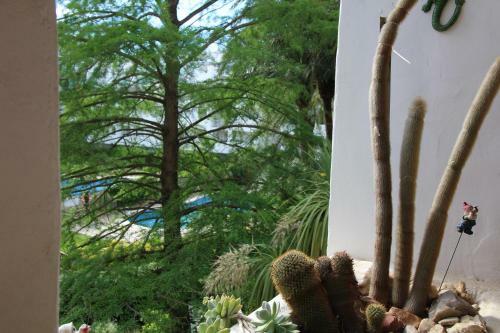 Apartamento 3329 Royal Marine I Tramuntana