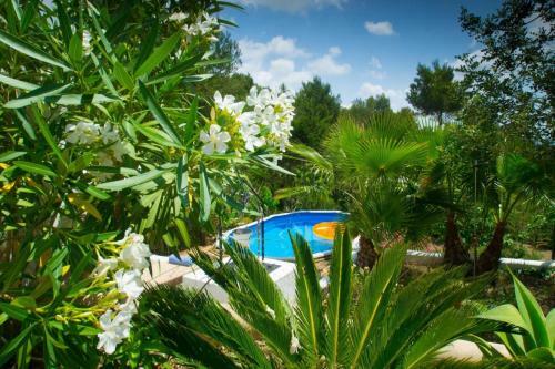 Villa Back To Eden Ibiza