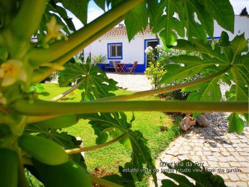 Hostal Quintinha Da Foz Guest House