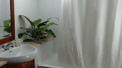 Apartamento Casa S�o Jo�o