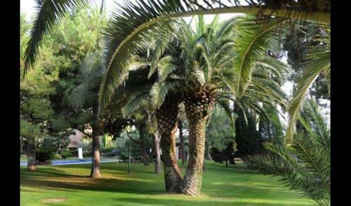 Santa Oliva Villa Sleeps 16 With Pool And Air Con