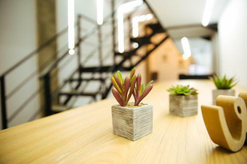Apartamento Moderno Loft A 150 Metros de La Playa